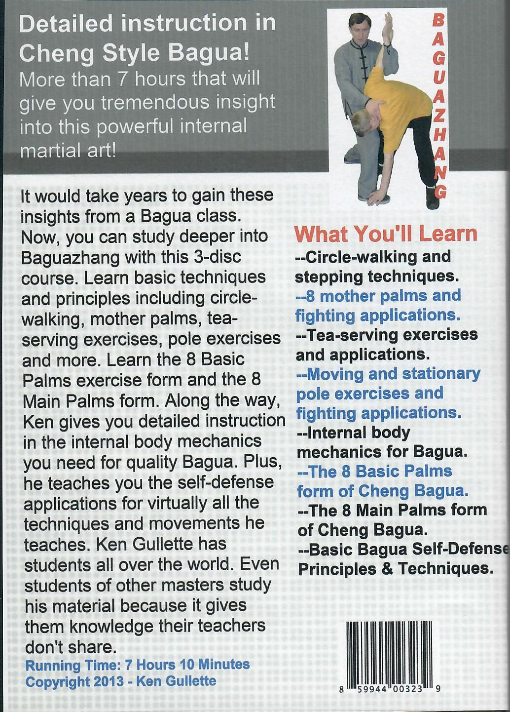Baguazhang Beginner's Course 3-DVD Set