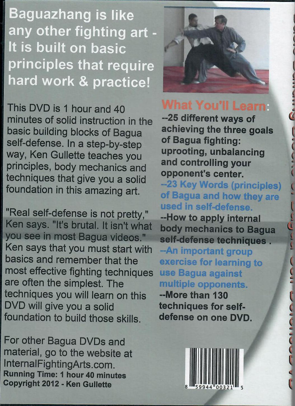 Basic Building Blocks of Bagua Self-Defense DVD