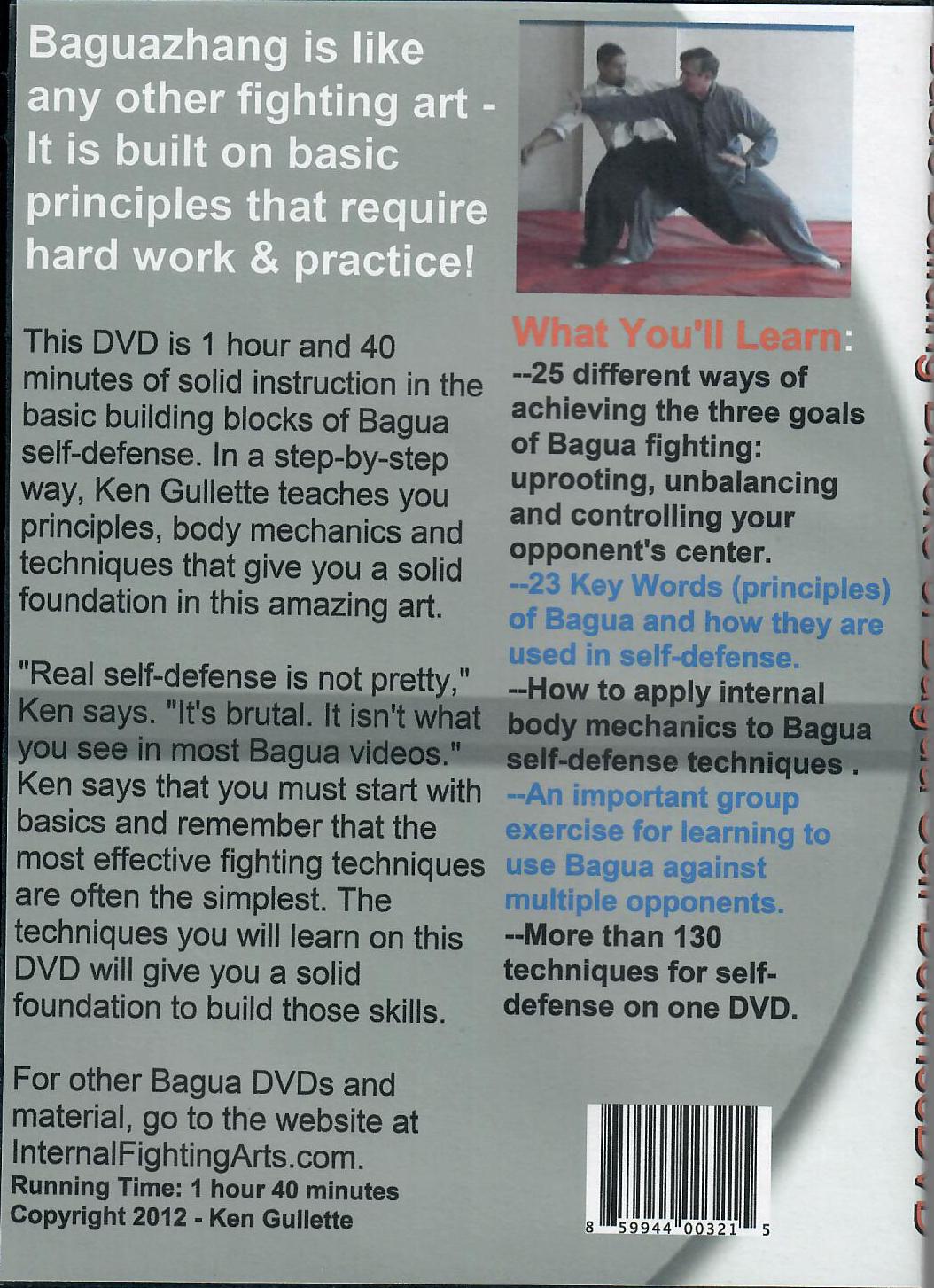 Basic Building Blocks of Bagua Self-Defense DVD