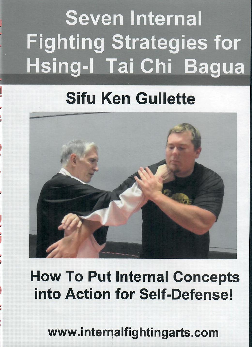 Seven Internal Fighting Strategies DVD