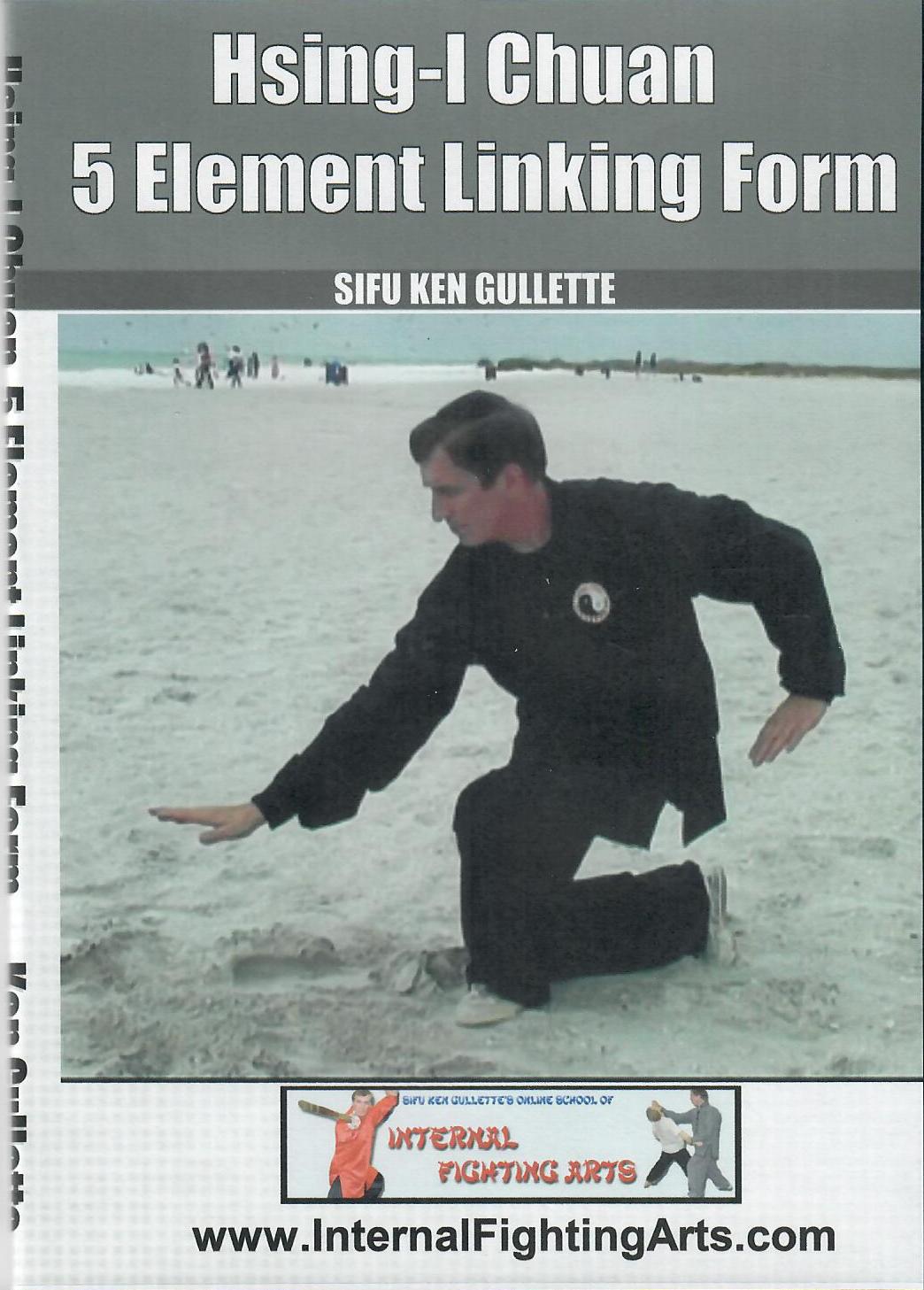 Xingyi 5-Element Linking Form DVD